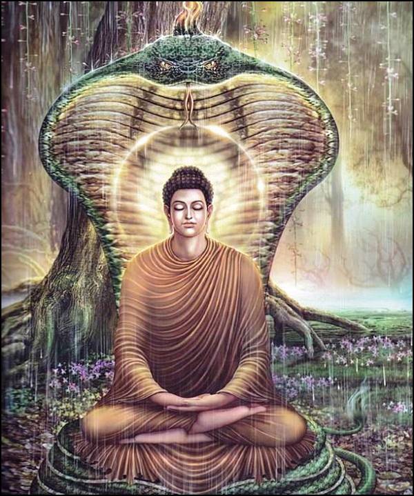Buda Muchalinda (imagem da intenet)